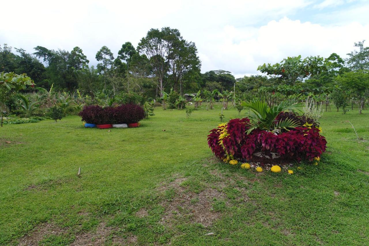 Hope Garden, Sarapiqui, We Connect You With The Sarapiqui Tropical Forest Exterior foto