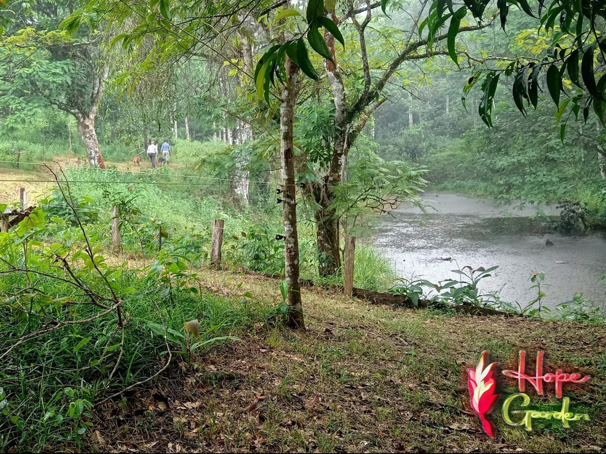 Hope Garden, Sarapiqui, We Connect You With The Sarapiqui Tropical Forest Exterior foto