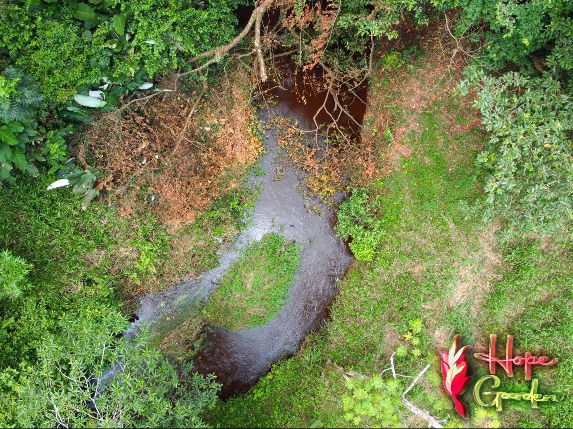 Hope Garden, Sarapiqui, We Connect You With The Sarapiqui Tropical Forest Exterior foto