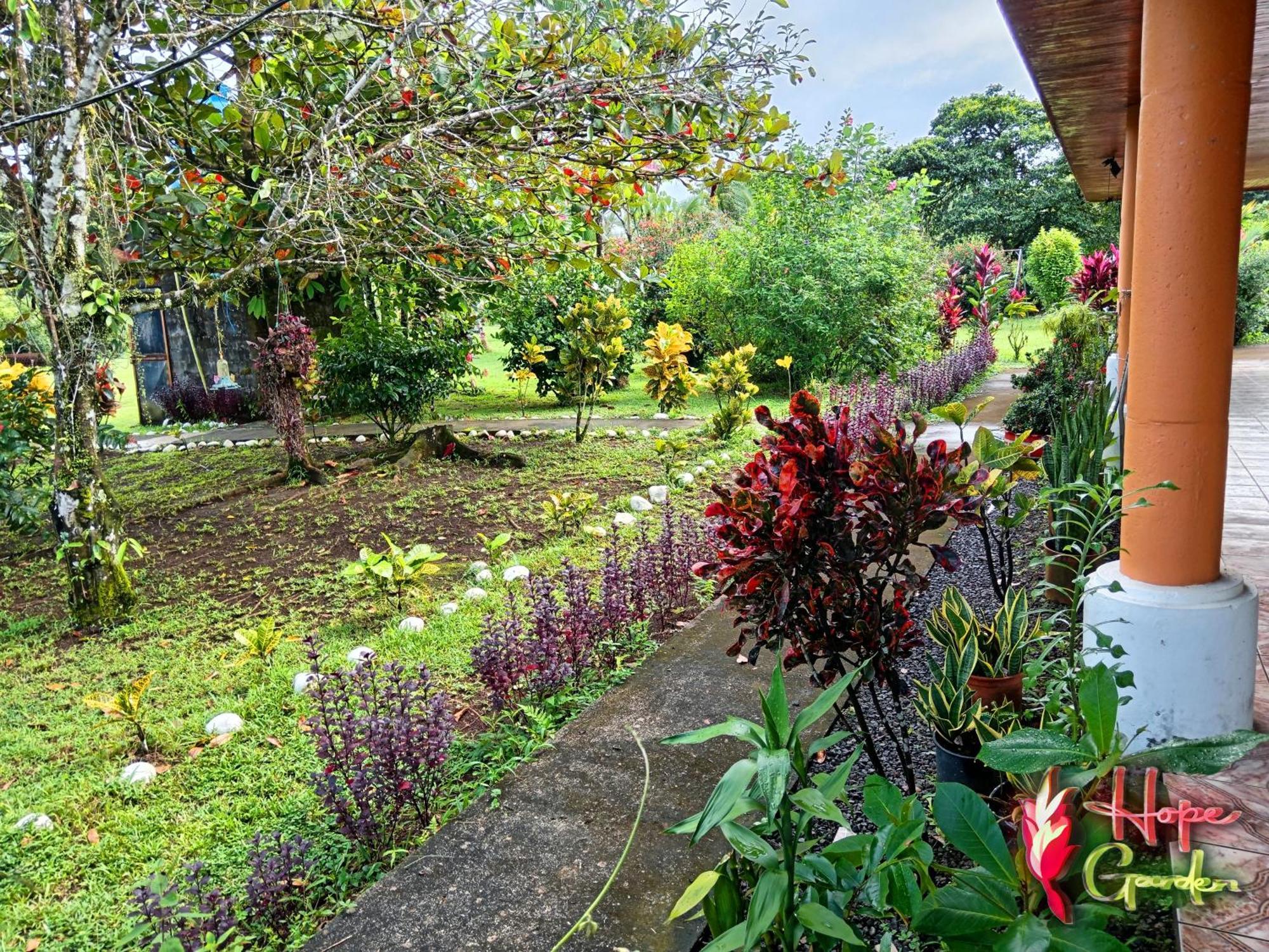 Hope Garden, Sarapiqui, We Connect You With The Sarapiqui Tropical Forest Exterior foto